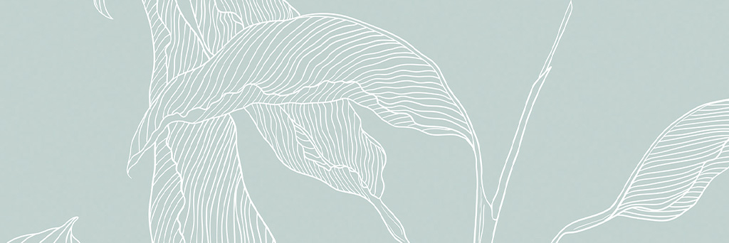 Compositions - Vue mobile 1