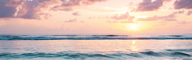 Nature - Vue mobile 1