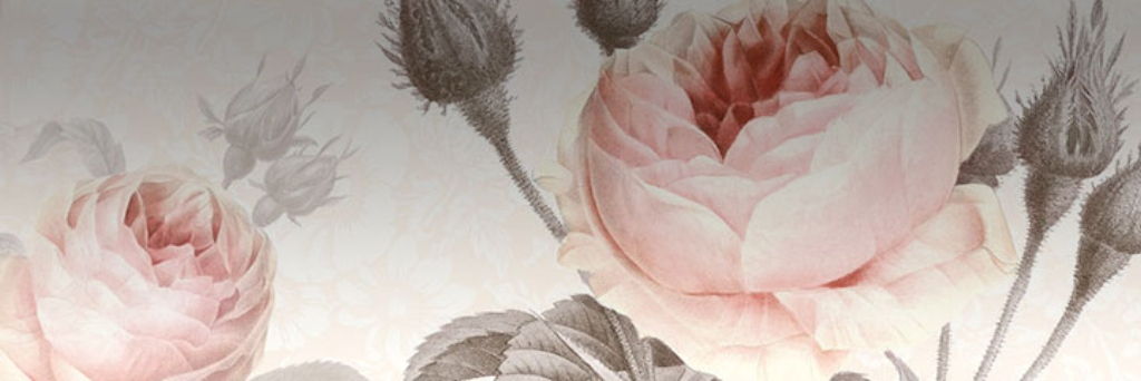 Order rose murals online I Photomurals by KOMAR