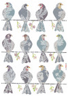 Doves - View 1