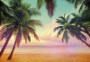Miami - View 1