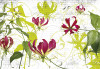 Gloriosa - View 1