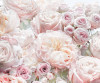Parfum de Rose - View 1