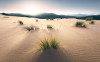 Vivid Dunes - View 1