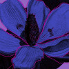 Shades of Flower - View 1