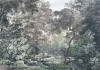 Fairytale Forest - View 1