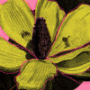 Shades of Flower - View 1