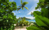 Cast Away Jungle  - View 1