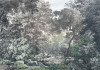 Wood Wide Web - View 1