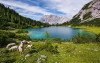 Paradise Lake - View 1