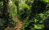 Path of Dreams - View 1