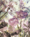 Metropical Faded - View 1
