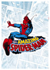 Spider-Man Comic Classic - View 1