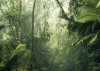 Vert Intense - View 1