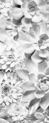 Shades Black and White - View 1