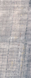 Concrete - View 1