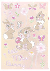 Little Miss Bunny - View 1