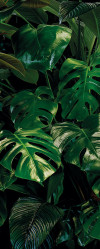 Tropical Wall - View 1