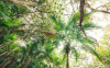 Touch the Jungle  - View 1