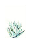 Aloe Watercolor