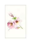 Magnolia Breathe