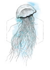 Jellyfish Watercolor
