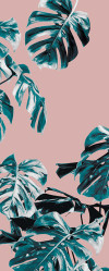 Monstera Rosé Panel  - View 1