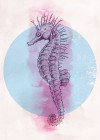 Sea Horse Circle