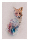 Animals Forest Fox