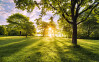 Golden Moment - View 1