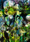 Aphrodite's Garden - View 1