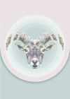 Capricorn