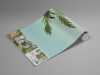 Jungle Expedition - View 1
