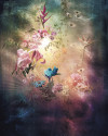 Enlightenment - View 1