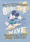 Mickey Brave the Wave - View 1