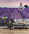 Provence - View 1