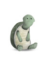 Cute Animal Turtle