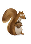 Cute Animal Squirrel