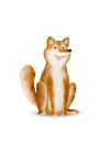 Cute Animal Dog