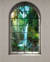 Rainforest - View 1