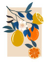 Illustration Finest Fruits