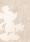 Mickey Contour - View 1