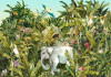 Jungle Expedition - View 1