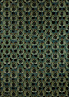 Paon Vert - View 1
