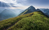 Green Vein - View 1
