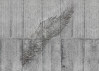Concrete Feather - View 1