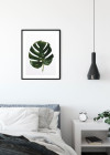 Monstera Leaf