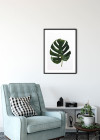 Monstera Leaf