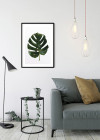 Monstera Leaf