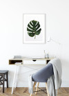Monstera Leaf